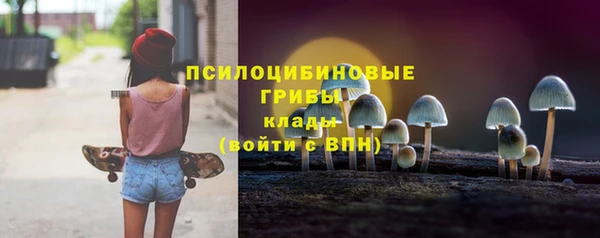 ECSTASY Магас