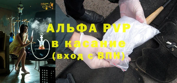 ECSTASY Магас