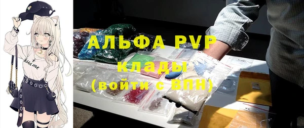 тгк Бердск