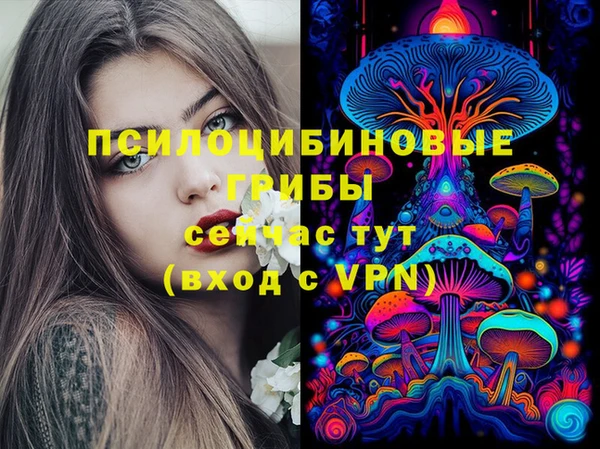 ECSTASY Магас