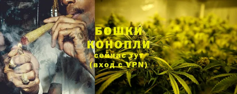 Бошки марихуана SATIVA & INDICA  Северодвинск 